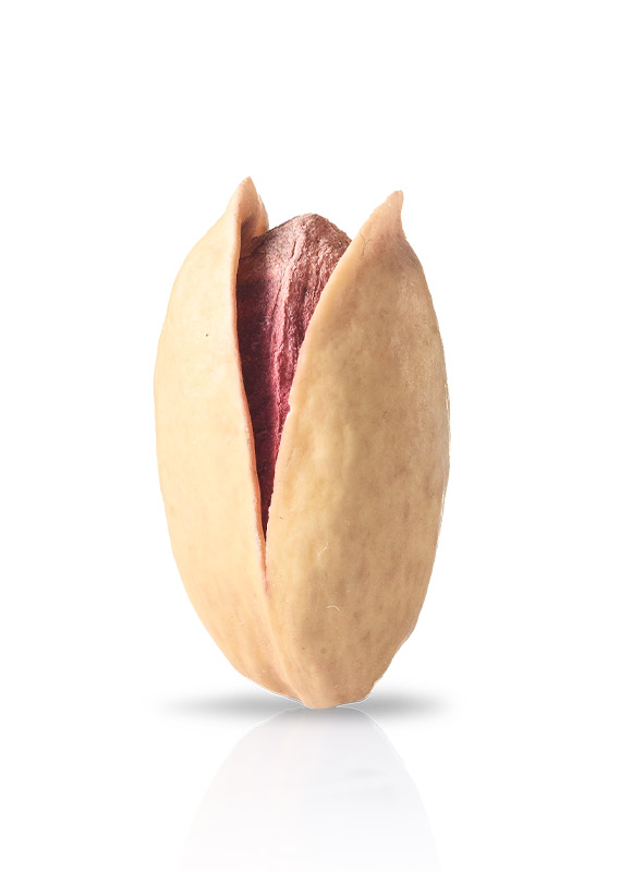 pistache salée variété Mawardi