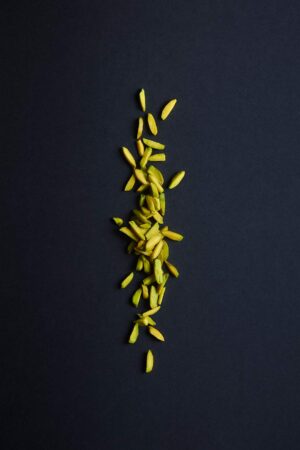 pistaches Qazvin batonnets