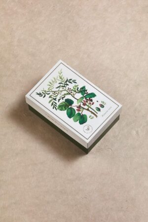 boîte botanique vide