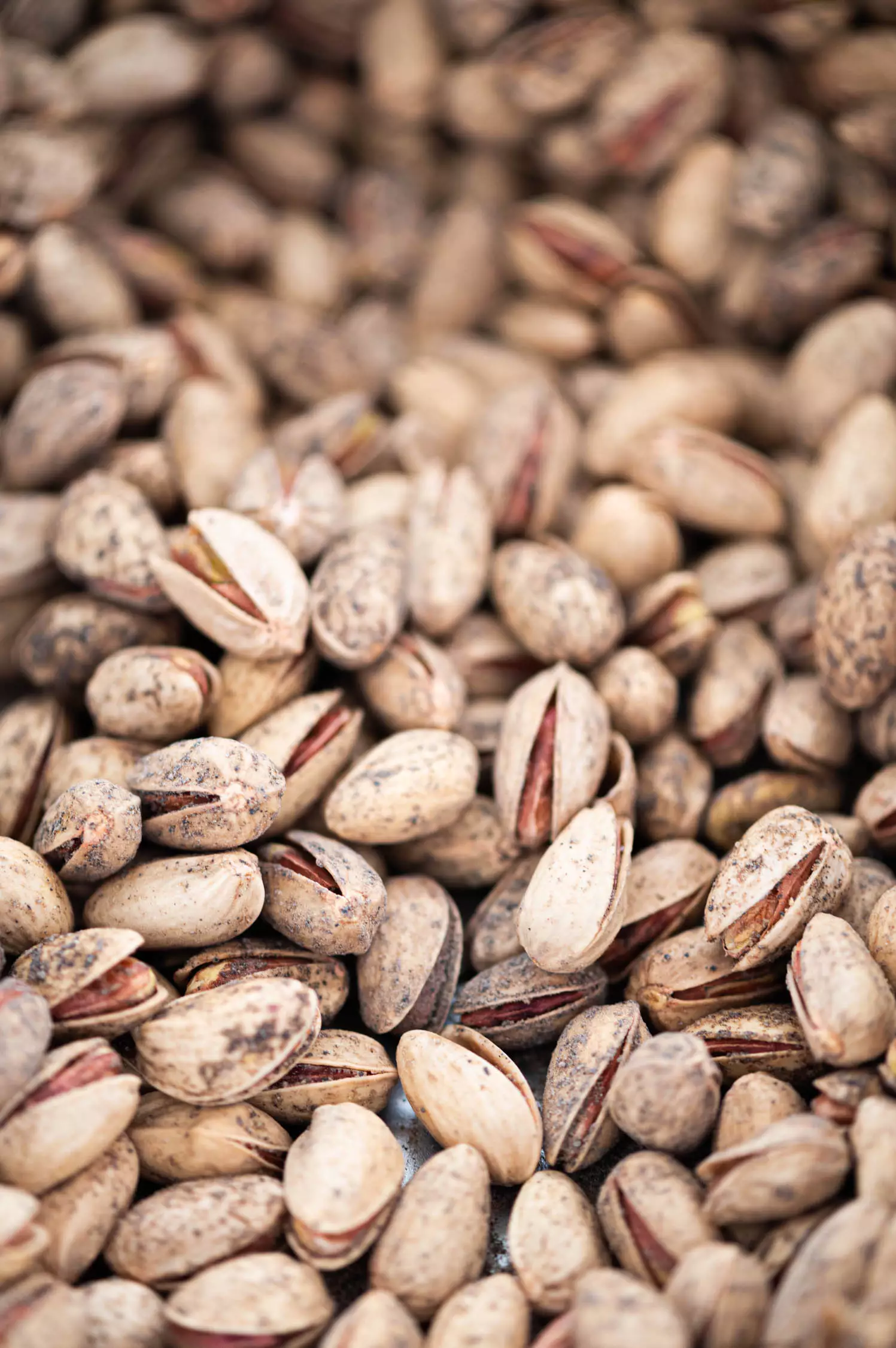 pistaches sel poivre