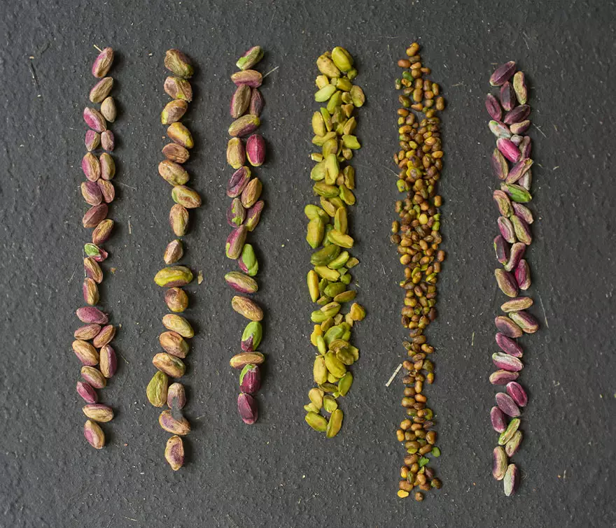 pistaches crus d'exception