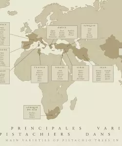 carte variétale pistache